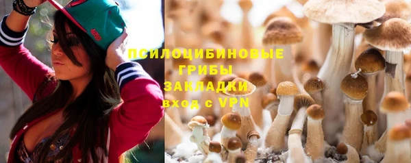 дмт Алексин
