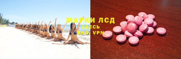 шишки Алзамай