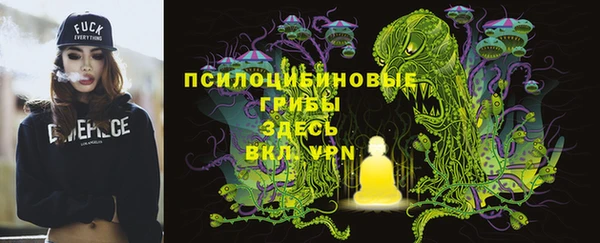 дмт Алексин