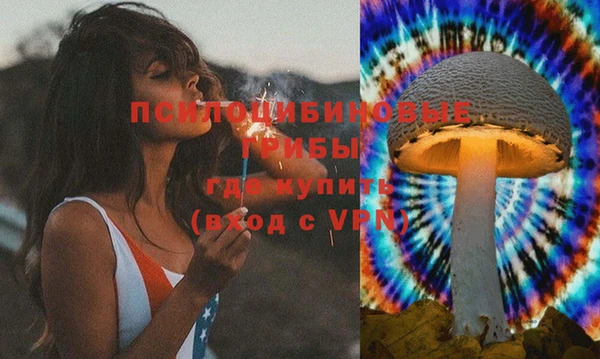 шишки Алзамай